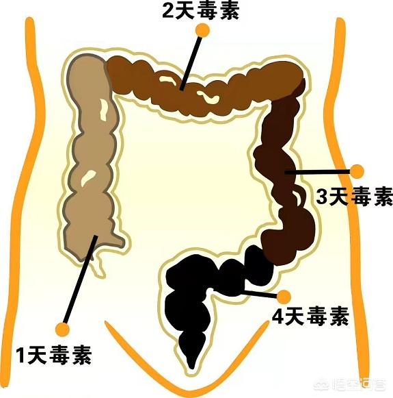 长期口臭怎么办,长期口臭是什么原因怎么治？