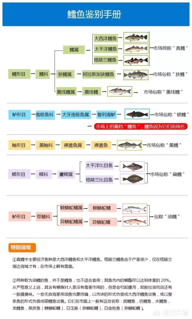 鳕鱼是油煎还是火烤什么意思,您喜欢鳕鱼蒸着吃还是煎着吃？