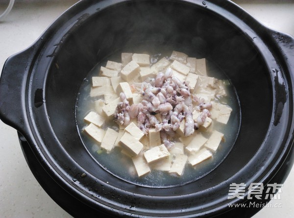 海兔炖豆腐怎么煮