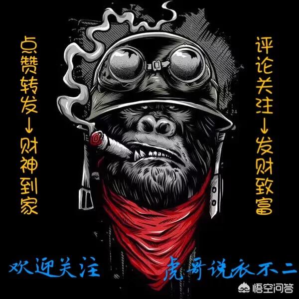 什么是t恤衫,pOlO衫和T恤衫有什么区别？