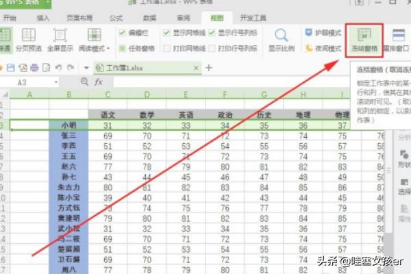 wps表格表头每页显示,wps如何设置固定表头？