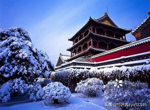 故宫猫,为什么人们都喜欢去故宫看雪景？