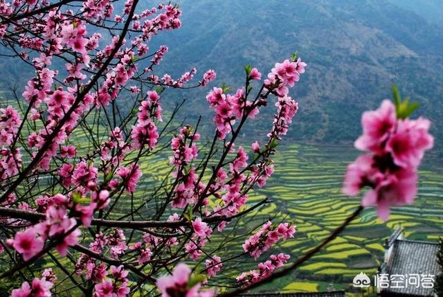 三月适合旅游的地方,3月份国内有哪些景点最好玩？