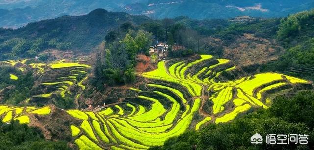 三月适合旅游的地方,3月份国内有哪些景点最好玩？