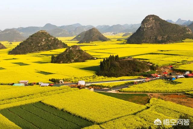 三月适合旅游的地方,国内三月最适合去哪里旅游？