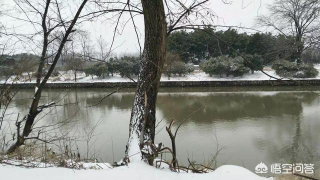 冬雪的诗句,描写“冬雪”的诗句有哪些？