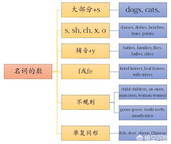 名词的英文,英语中的名词涉及到哪些知识点？