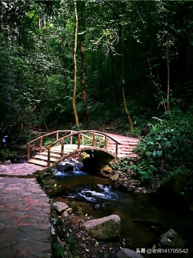 城市牧羊人,这个季节去哪里旅游最为合适？