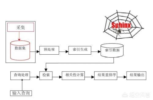 网站引蜘蛛软件会K,如何解决网站被降权的问题？