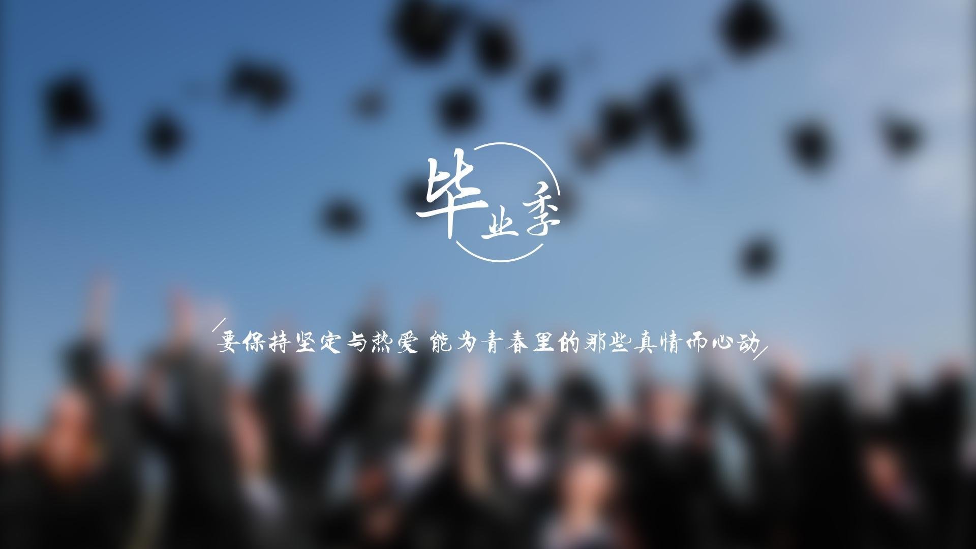 发外链,怎么快速的怎么样增加外链呀插图