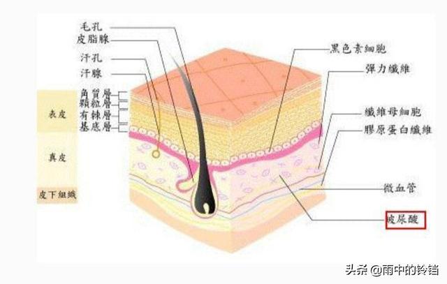 皮肤变好是一种怎样的体验？,怎样把体验卡变成永久皮肤