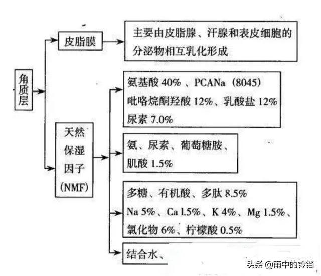 皮肤变好是一种怎样的体验？,怎样把体验卡变成永久皮肤