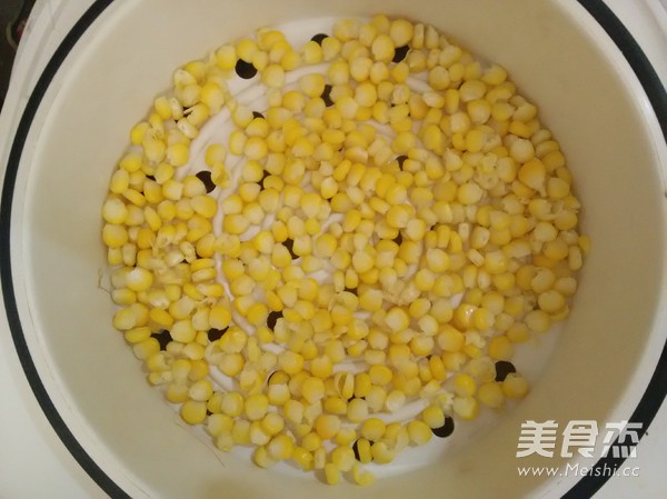 玉米烧麦的做法大全