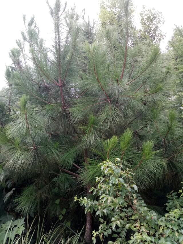 媳妇还没有出月子,老婆坐月子时很不对劲，一天洗10次澡，打开卫生间的门我蒙了