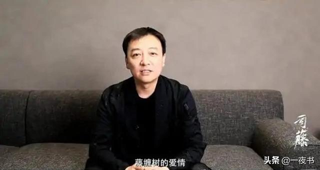 秦放是大树的后代,司藤：秦放是白英后裔？和司藤没血缘关系，他是大树，司藤没爱错