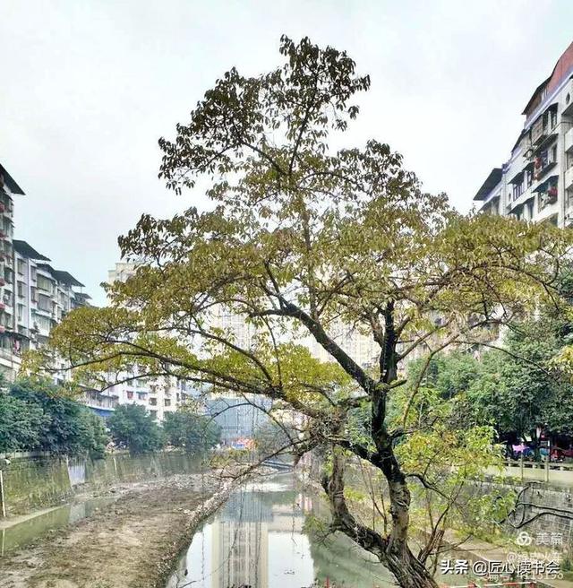 邻水铁路,邻水县城的前世今生 | 绿皮火车