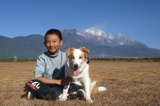 边牧幼崽,如何挑选一只好的边牧幼犬？