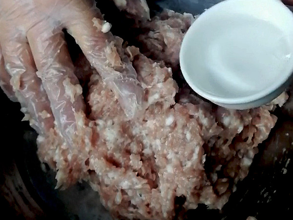 自制两种火锅肉丸，真材实料看得见！怎么做