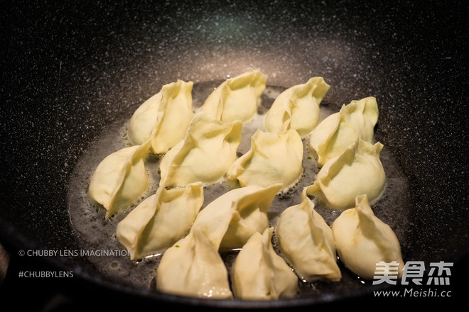 煎／煮韭菜鲜肉手工饺怎样炖