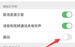 微信按住说话有震动在哪里关