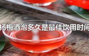 杨梅酒泡多久是最佳饮用时间