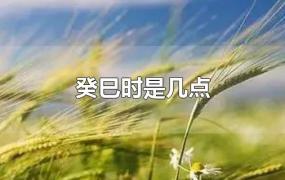 癸巳时是几点