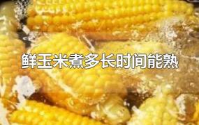 鲜玉米煮多长时间能熟