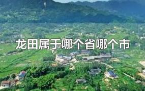 龙田属于哪个省哪个市