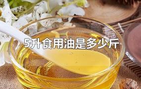 5升食用油是多少斤