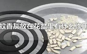 蚊香灰放在花盆里有什么作用