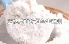 立秋后面粉还会生虫吗