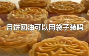 月饼回油可以用袋子装吗