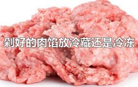 剁好的肉馅放冷藏还是冷冻