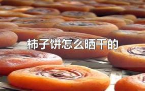 柿子饼怎么晒干的