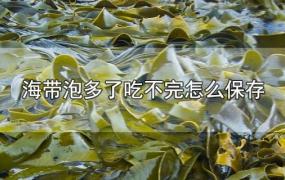 海带泡多了吃不完怎么保存