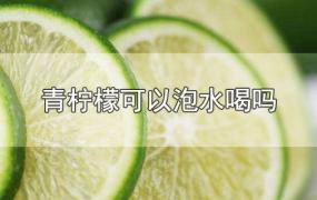 青柠檬可以泡水喝吗