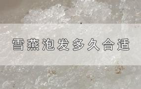 雪燕泡发多久合适