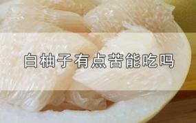 白柚子有点苦能吃吗