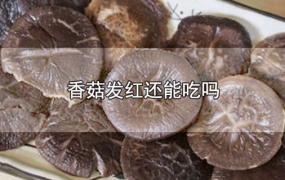 香菇发红还能吃吗