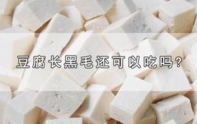 豆腐长黑毛还可以吃吗?