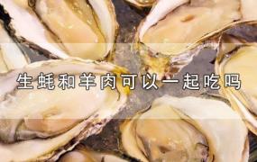 生蚝和羊肉可以一起吃吗