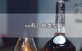 xo有几种类型