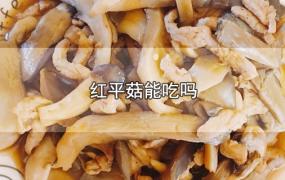 红平菇能吃吗