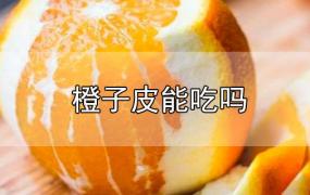 橙子皮能吃吗