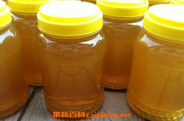  桉树蜜的作用与功效 桉树蜜的食用方法