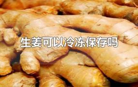 生姜可以冷冻保存吗