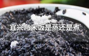 宜兴乌米饭是蒸还是煮