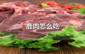 鹿肉怎么吃