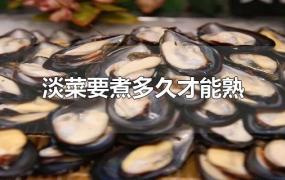 淡菜要煮多久才能熟