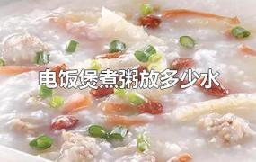 电饭煲煮粥放多少水